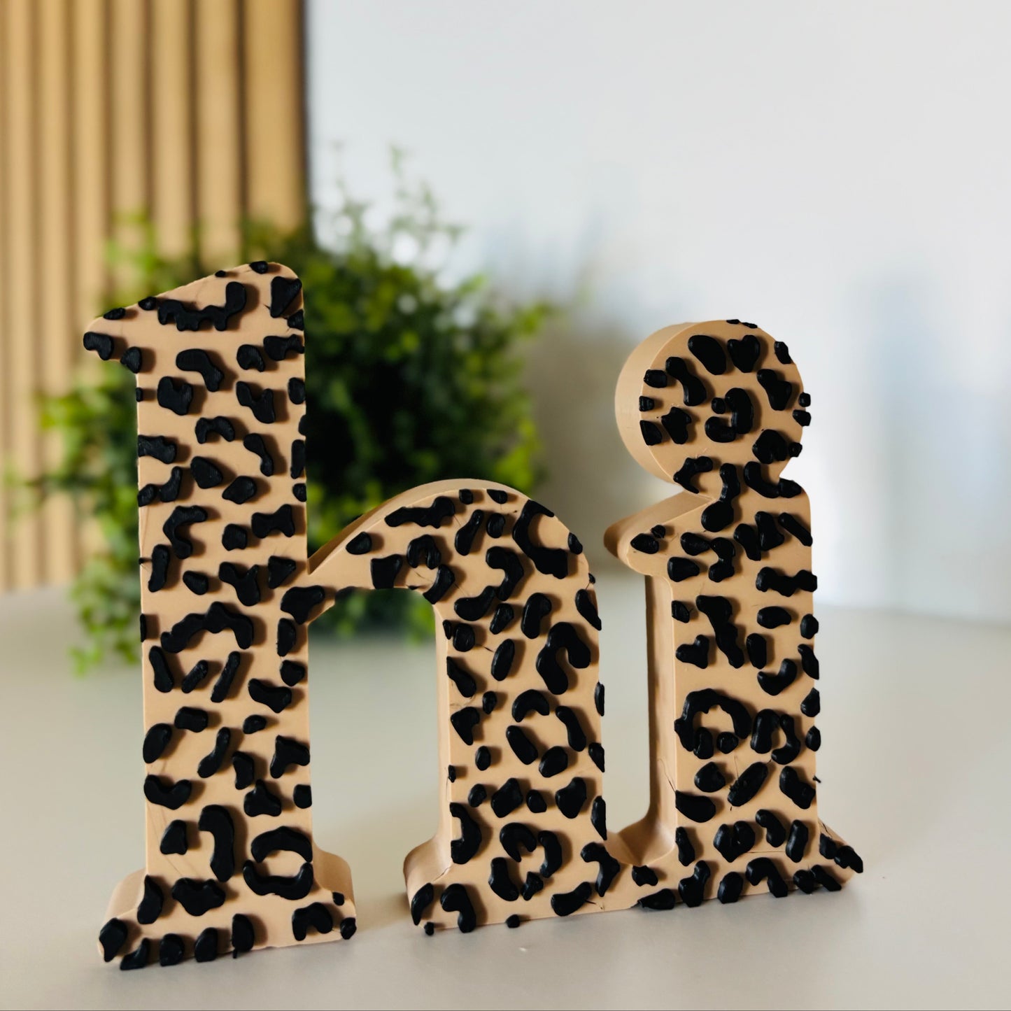 3D Schriftzug "hi" Leo