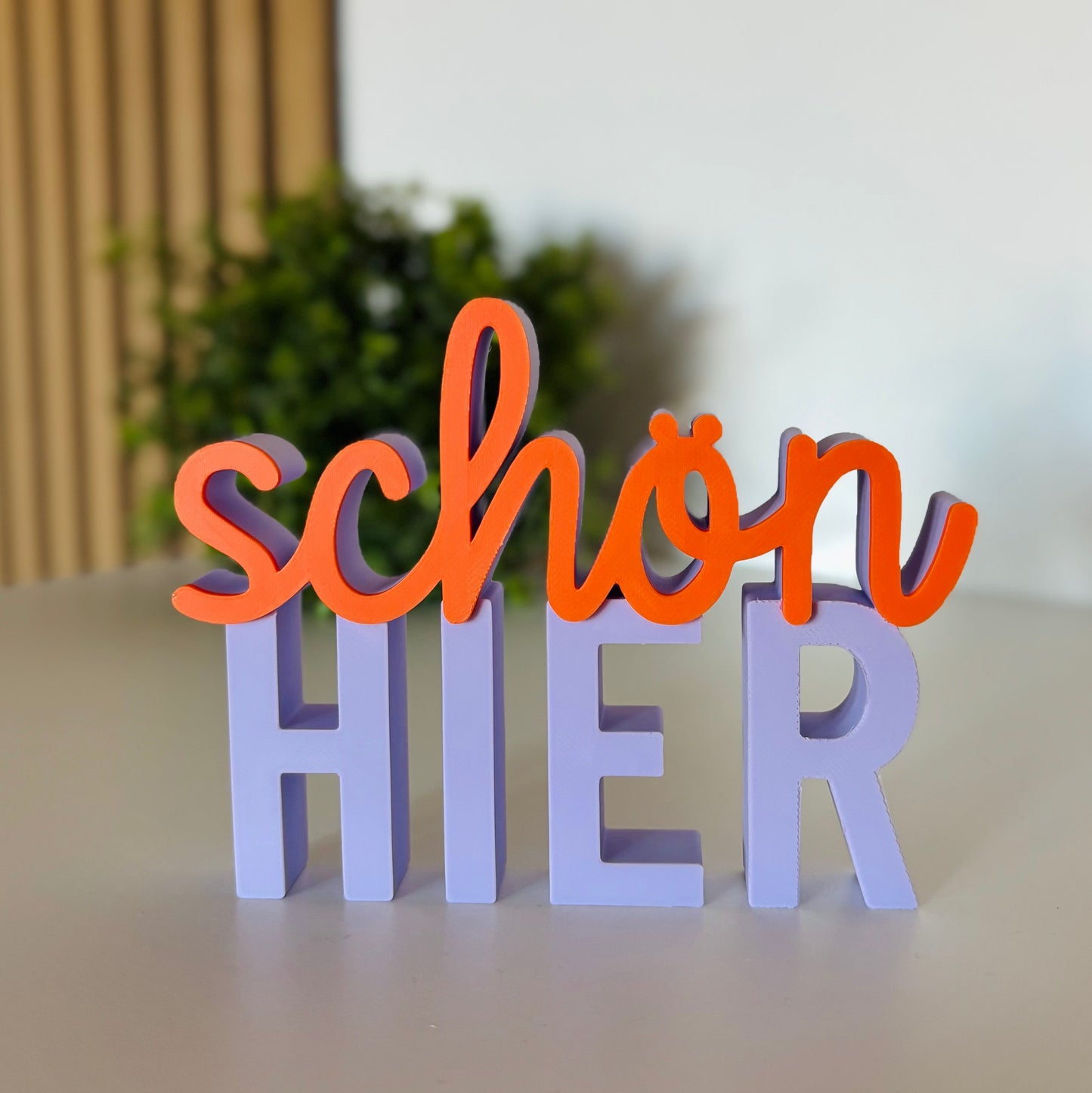 3D Schriftzug "schön HIER"